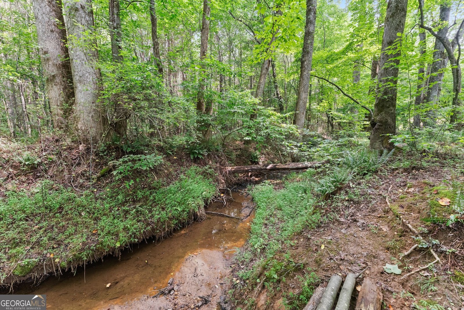 8817 Shallow Creek Trail Clermont - Photo 53
