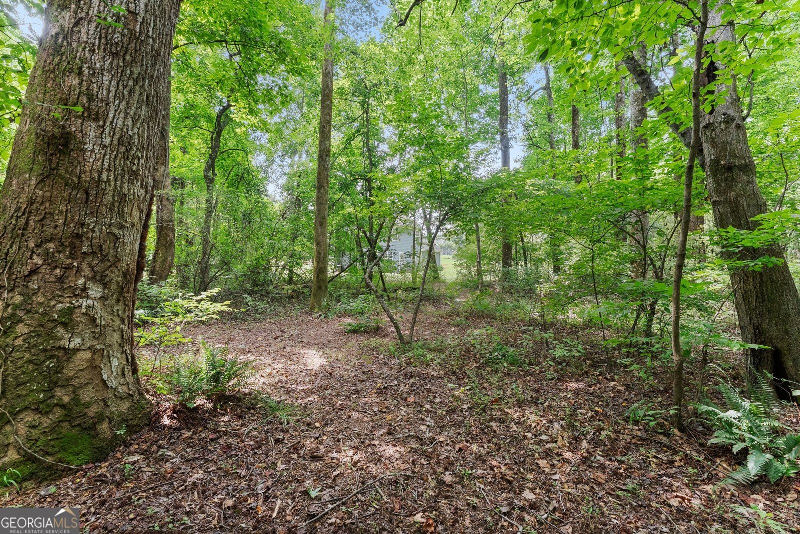 8817 Shallow Creek Trail Clermont - Photo 54