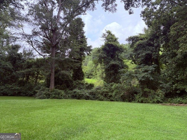 29 Daniel Drive Griffin - Photo 18