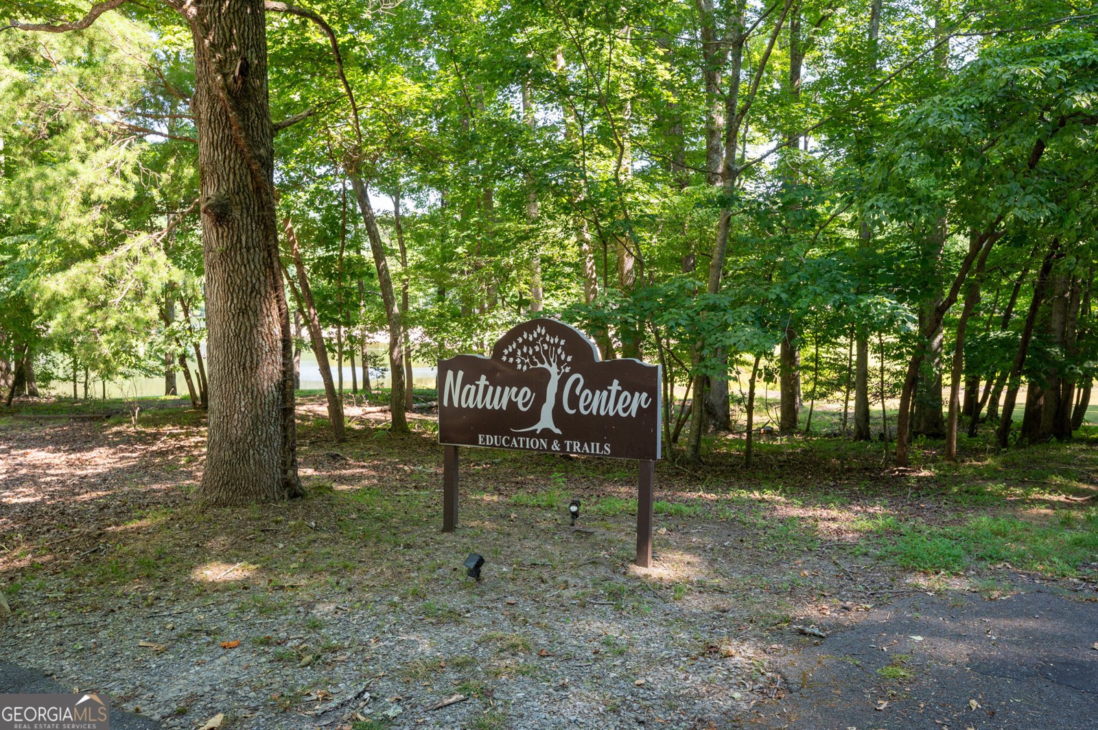 267 Starcross Lane Jasper - Photo 84