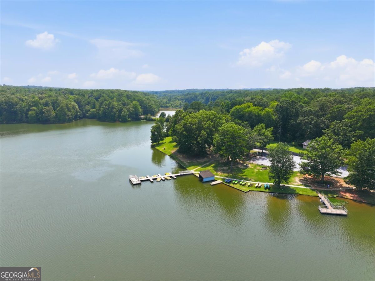 5345 Vinci Place Douglasville - Photo 47