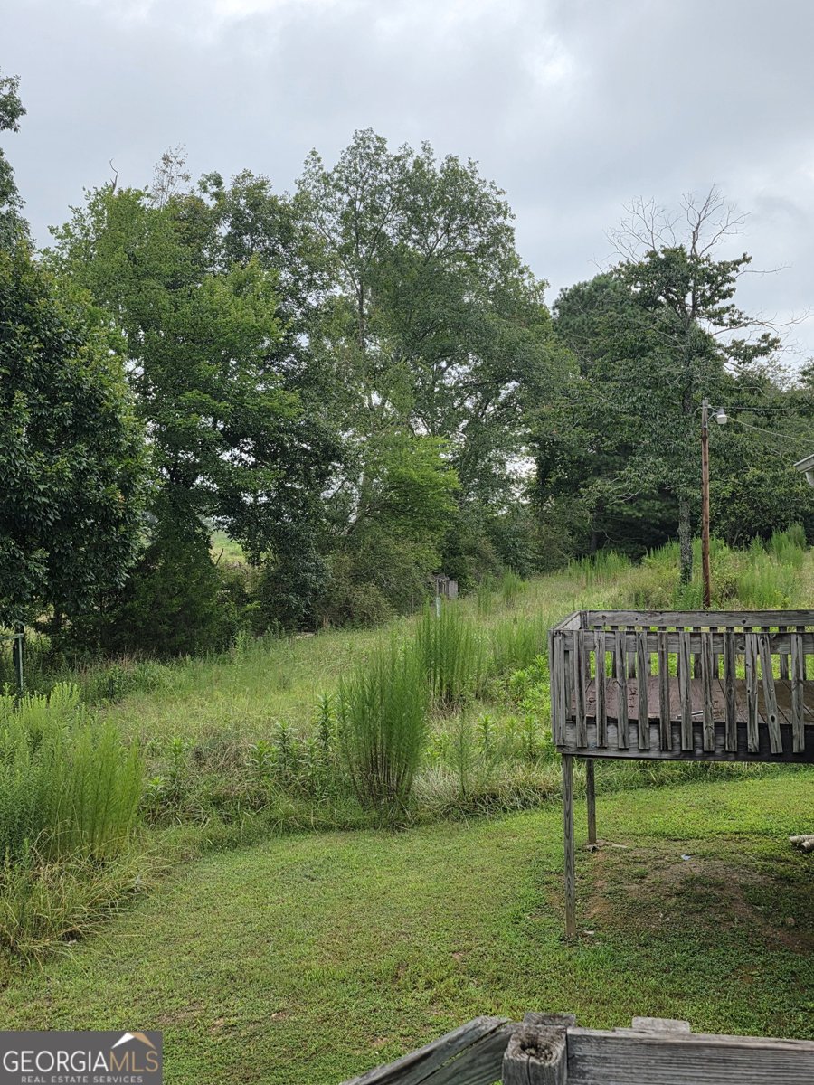 536 SUBSTATION RD CEDARTOWN - Photo 7
