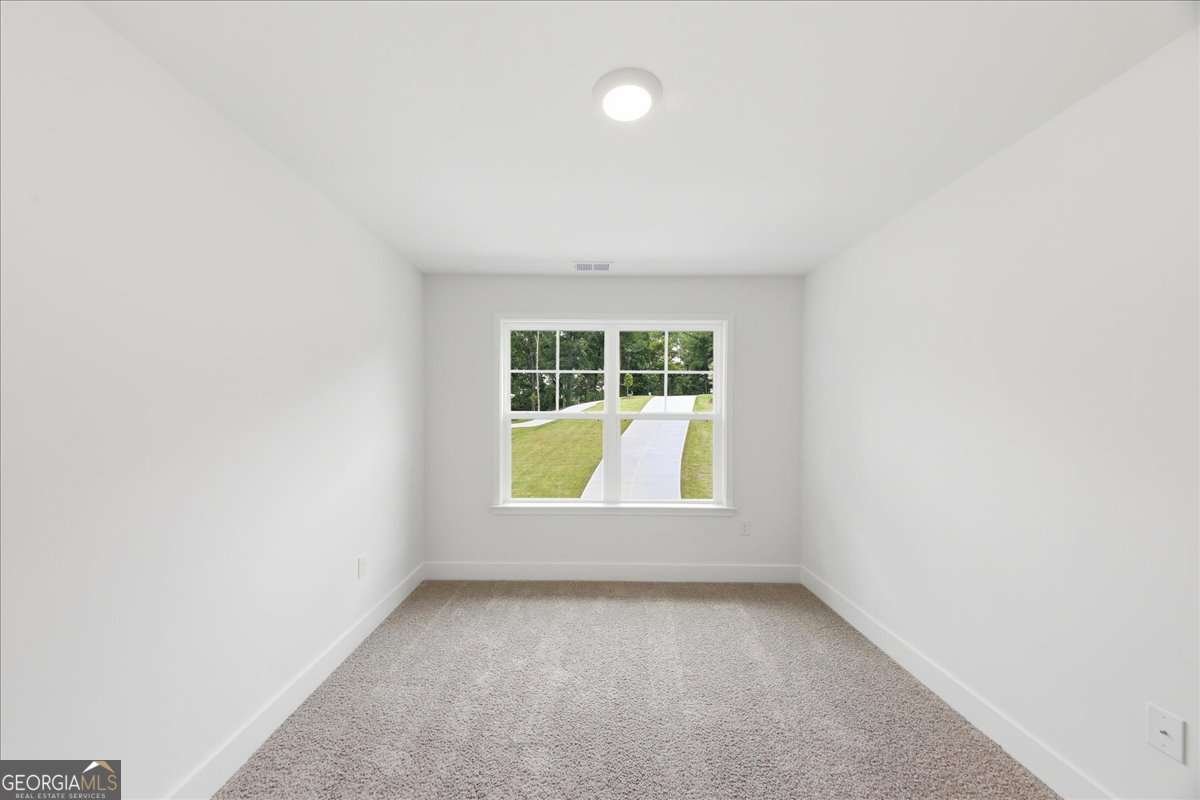 5325 Vinci Place Douglasville - Photo 26