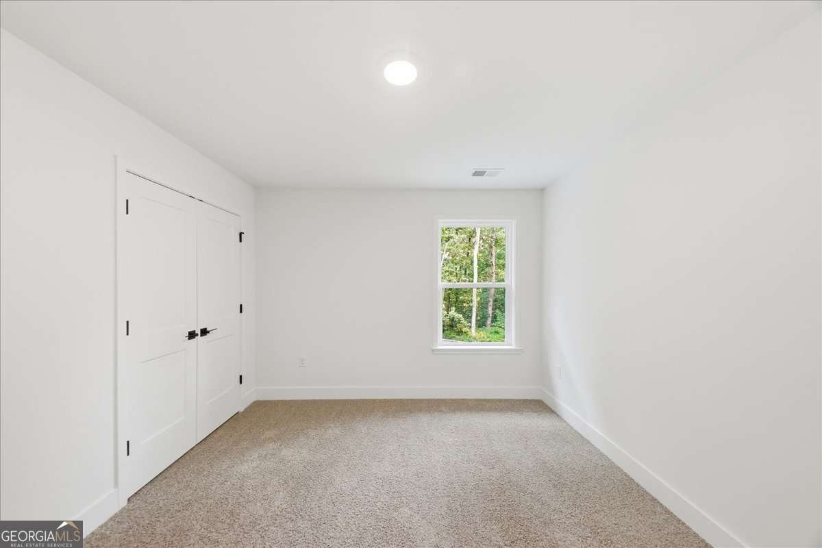 5325 Vinci Place Douglasville - Photo 70