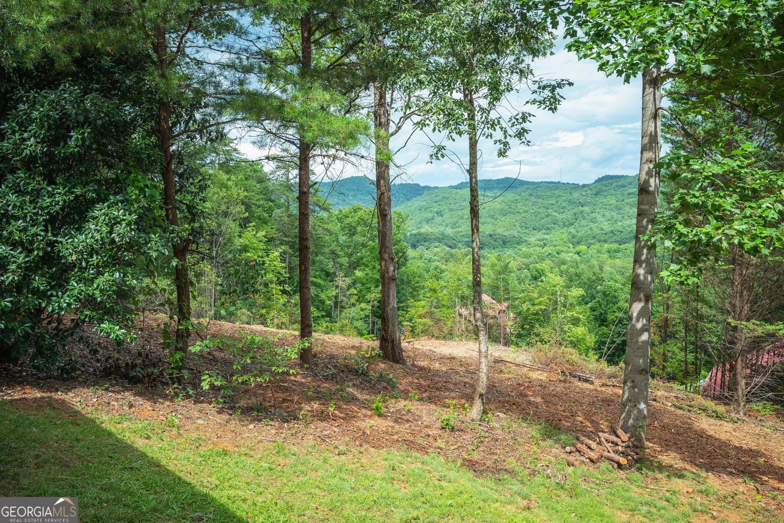 235 Field Drive Sautee Nacoochee - Photo 12