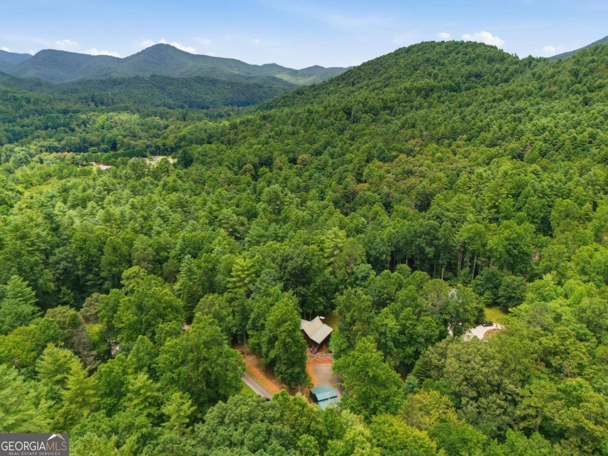 2447 Hi River Road Hiawassee - Photo 38