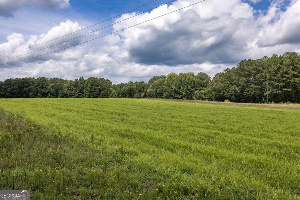 595 Millstone Church Road Carlton - Photo 6