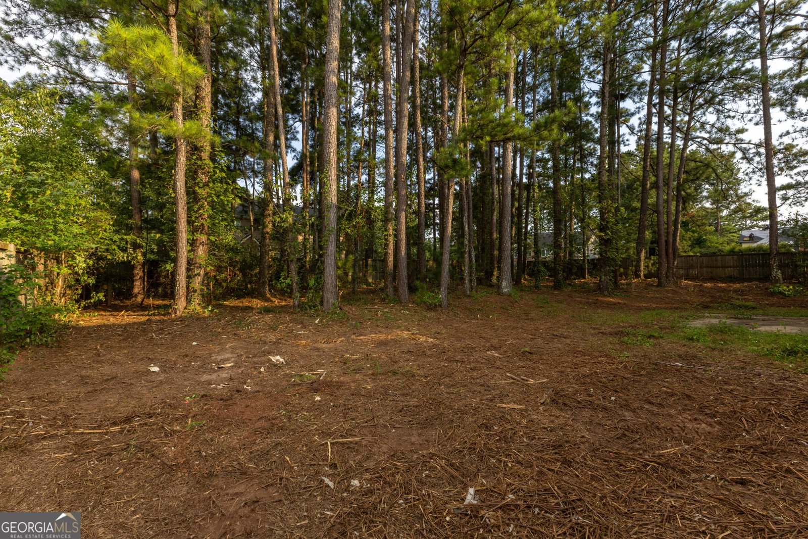 300 Pilgrim Way Fayetteville - Photo 33
