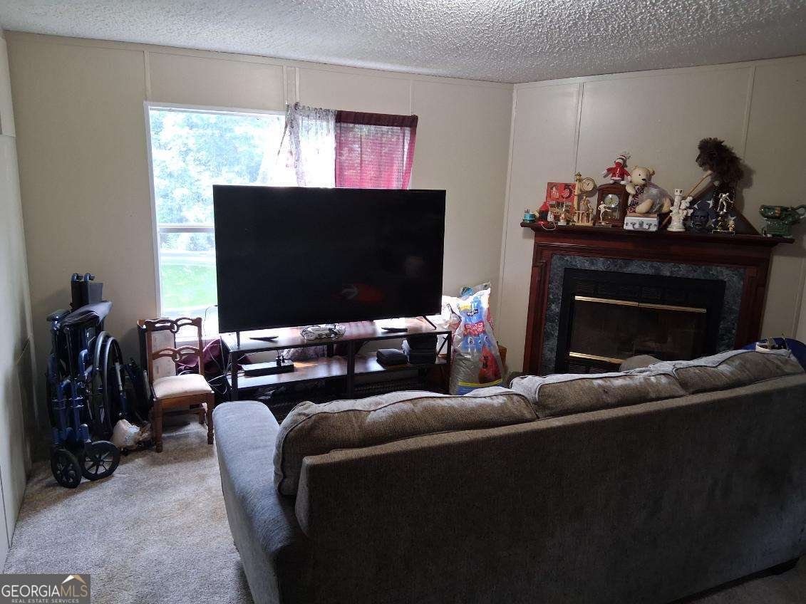 425 Sycamore Drive Eastman - Photo 29