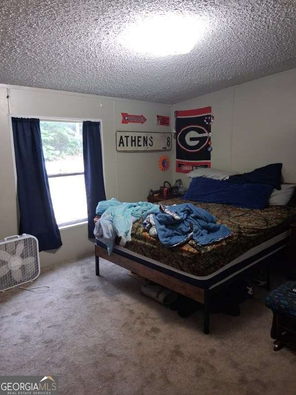 425 Sycamore Drive Eastman - Photo 34
