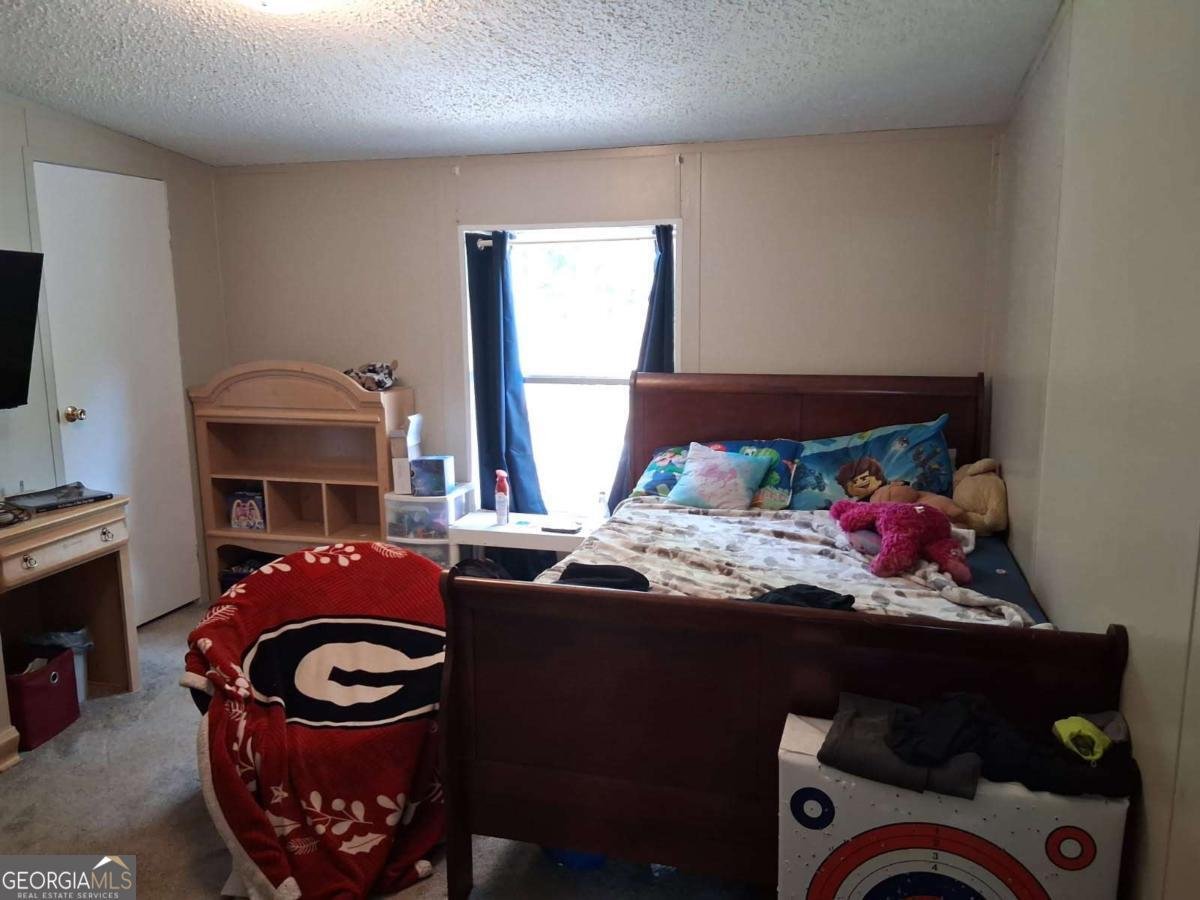 425 Sycamore Drive Eastman - Photo 45
