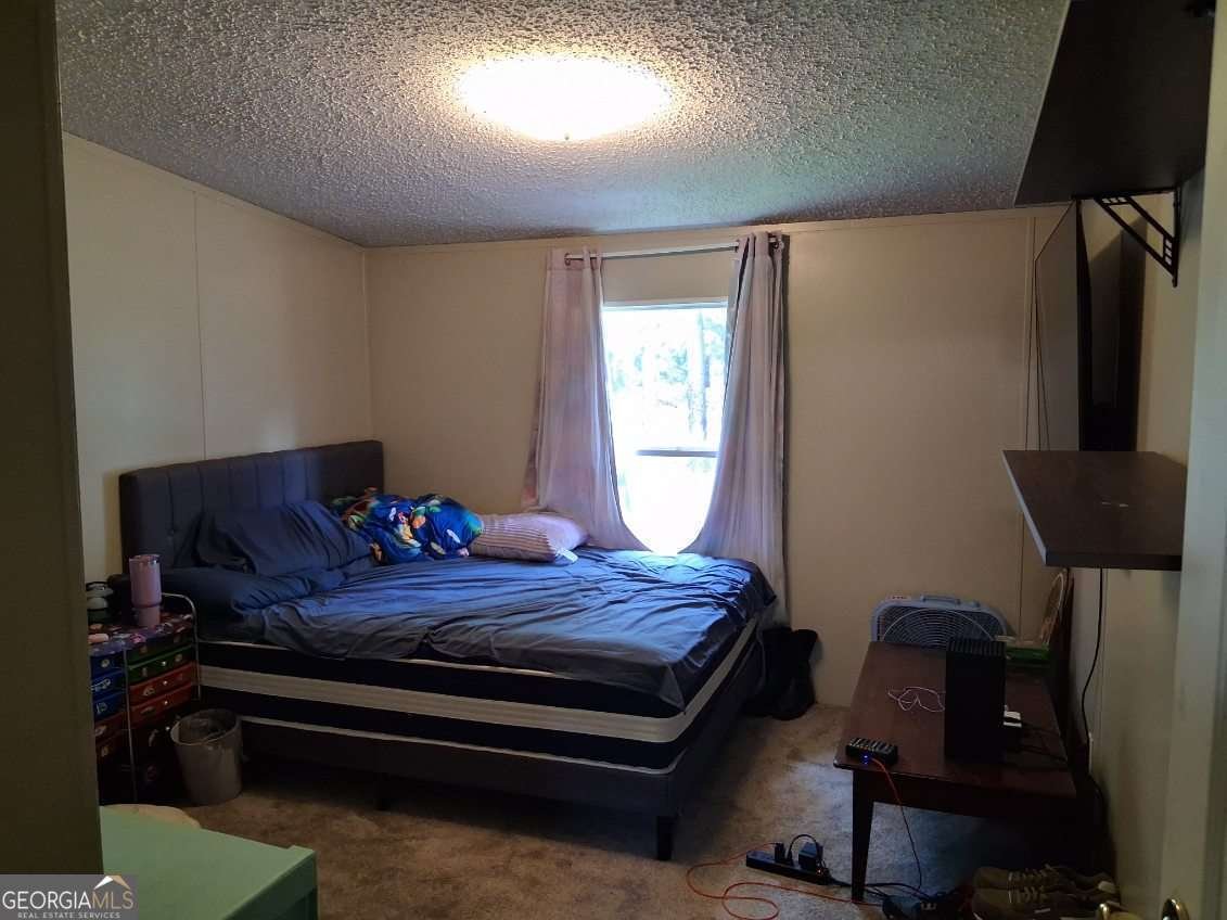 425 Sycamore Drive Eastman - Photo 46