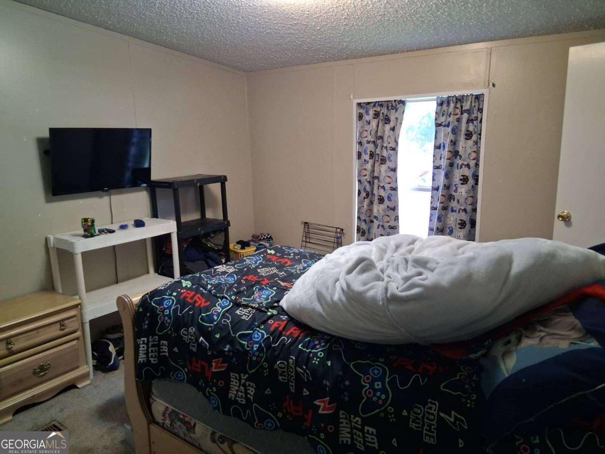 425 Sycamore Drive Eastman - Photo 49