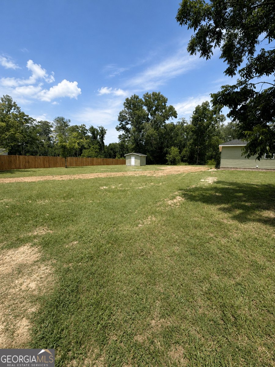 16831 GA HWY 169 Glennville - Photo 17