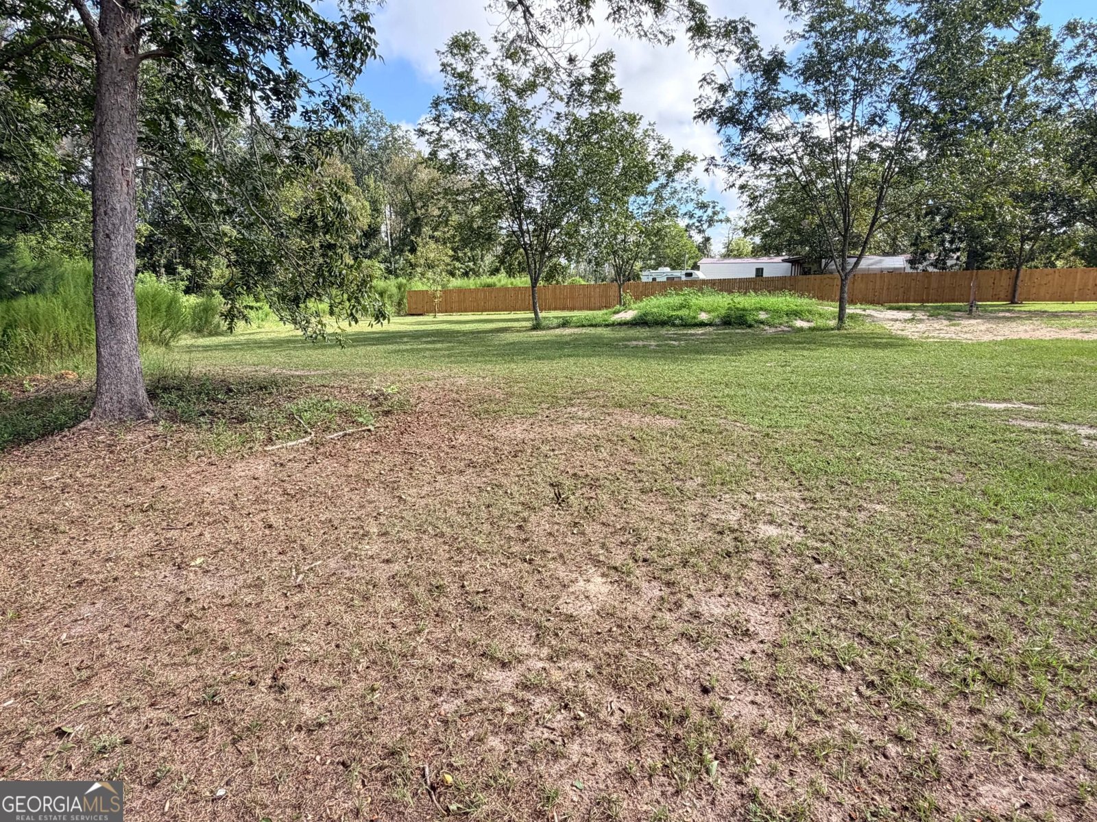 16831 GA HWY 169 Glennville - Photo 18