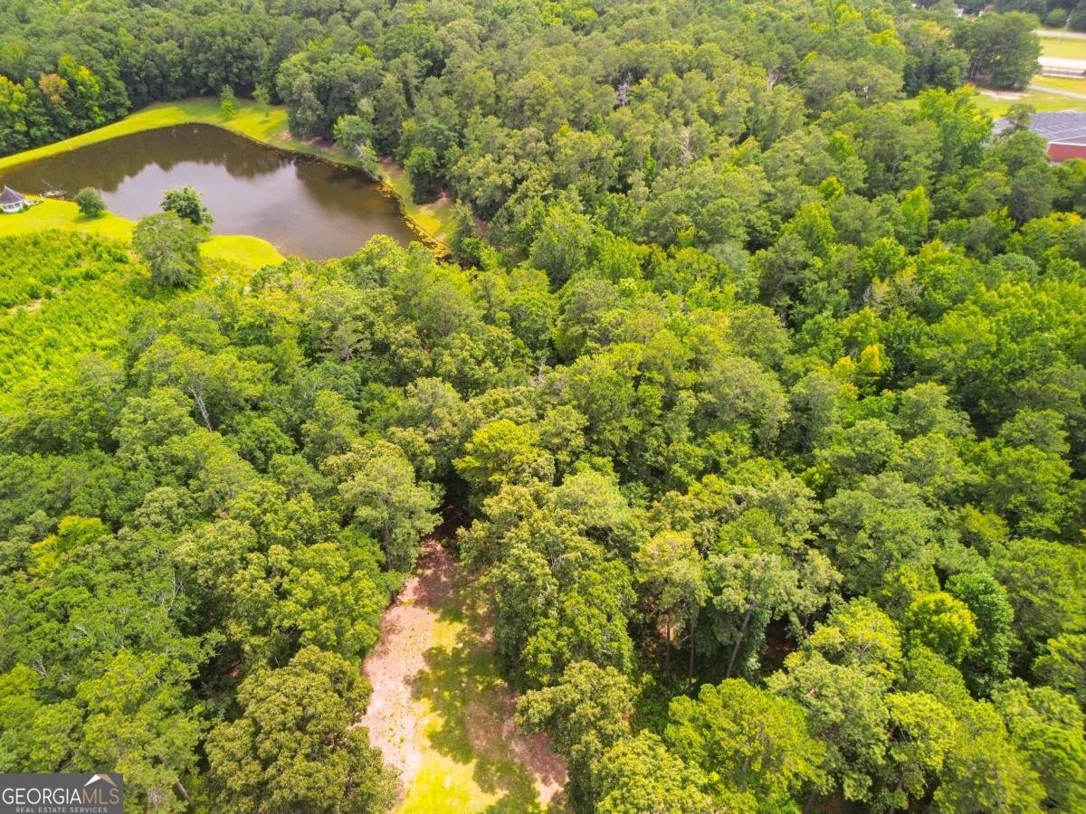 978 Stark Road Jackson - Photo 9