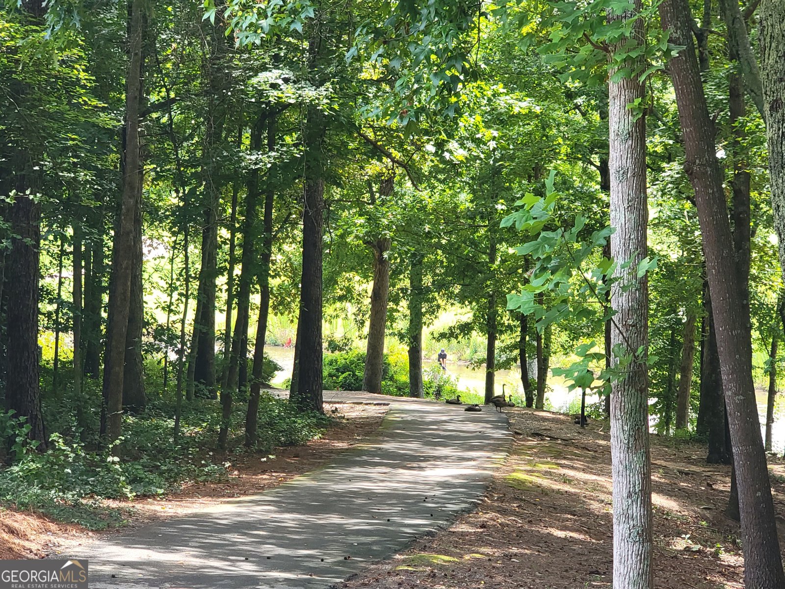 3433 Mill Grove Dacula - Photo 46