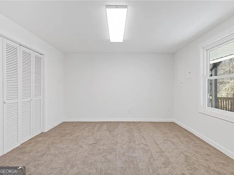4732 Walnut Bend Drive Gainesville - Photo 49