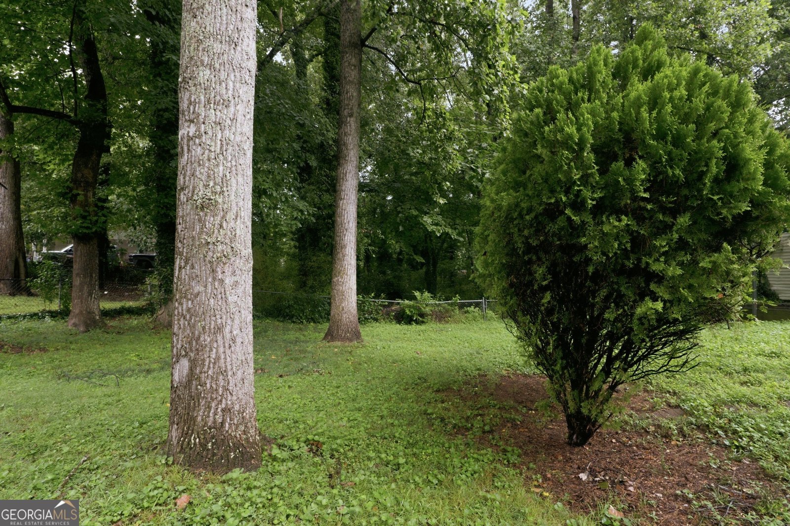 2162 Chestnut Place Lithia Springs - Photo 29