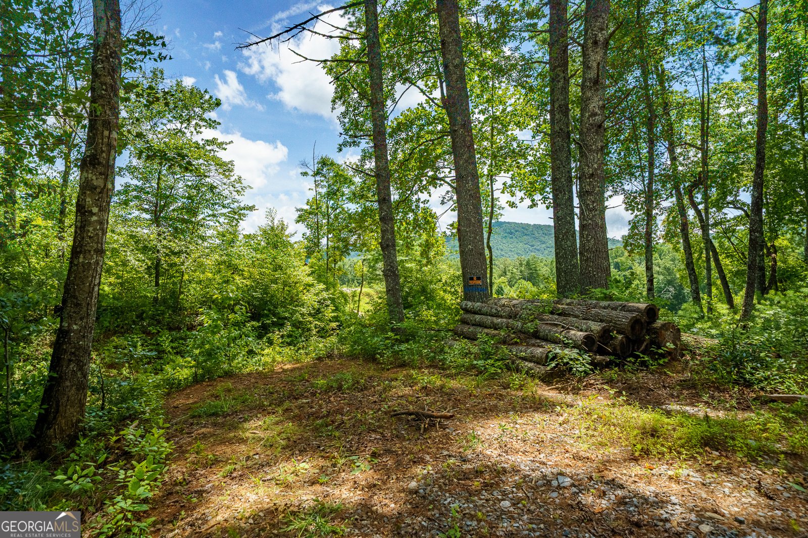 000 Higdon Creek Rd Blue Ridge - Photo 10