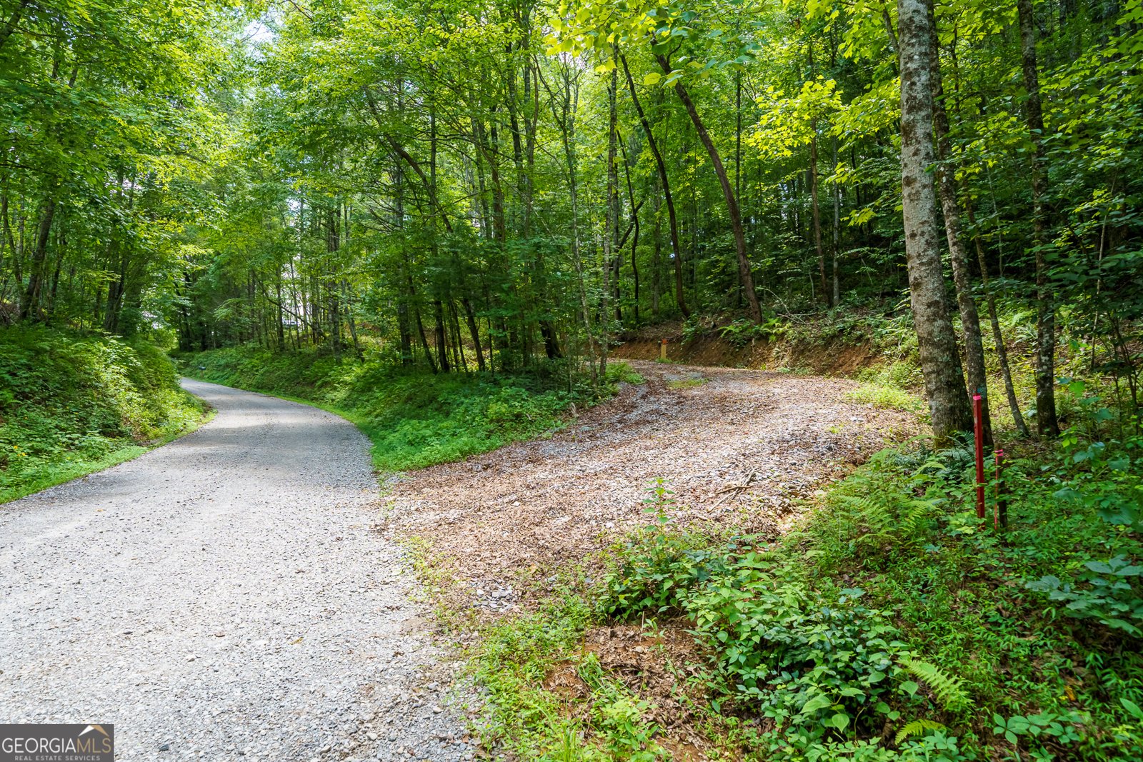 000 Higdon Creek Rd Blue Ridge - Photo 16