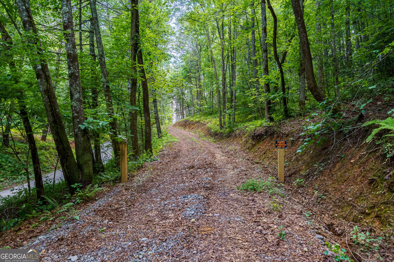 000 Higdon Creek Rd Blue Ridge - Photo 17