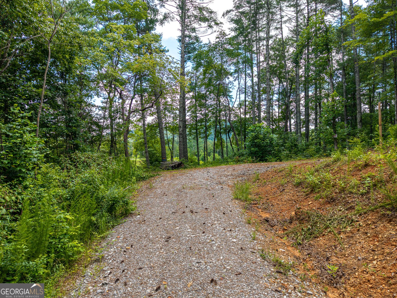 000 Higdon Creek Rd Blue Ridge - Photo 18