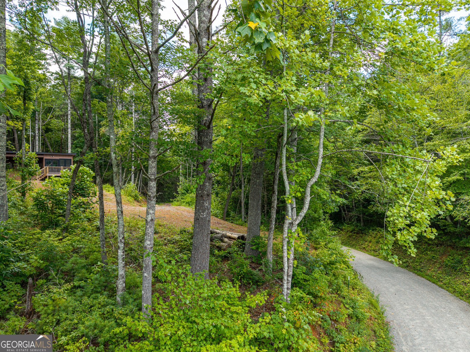 000 Higdon Creek Rd Blue Ridge - Photo 19