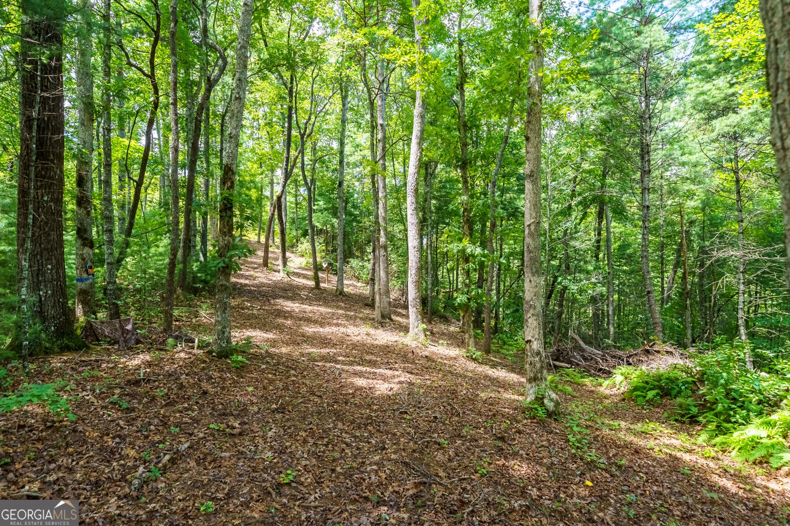 000 Higdon Creek Rd Blue Ridge - Photo 20