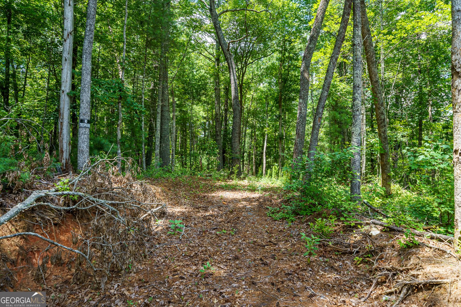 000 Higdon Creek Rd Blue Ridge - Photo 21