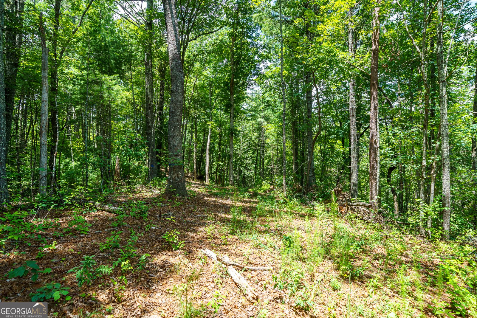 000 Higdon Creek Rd Blue Ridge - Photo 22