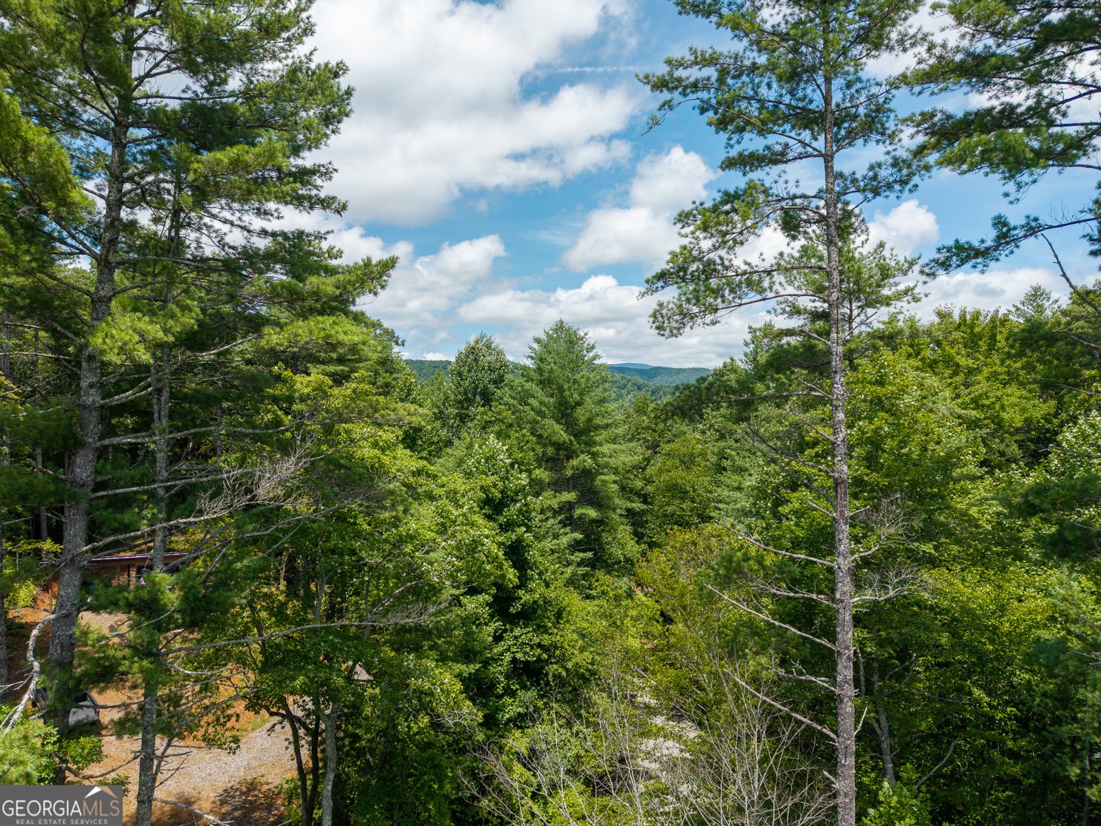 000 Higdon Creek Rd Blue Ridge - Photo 30