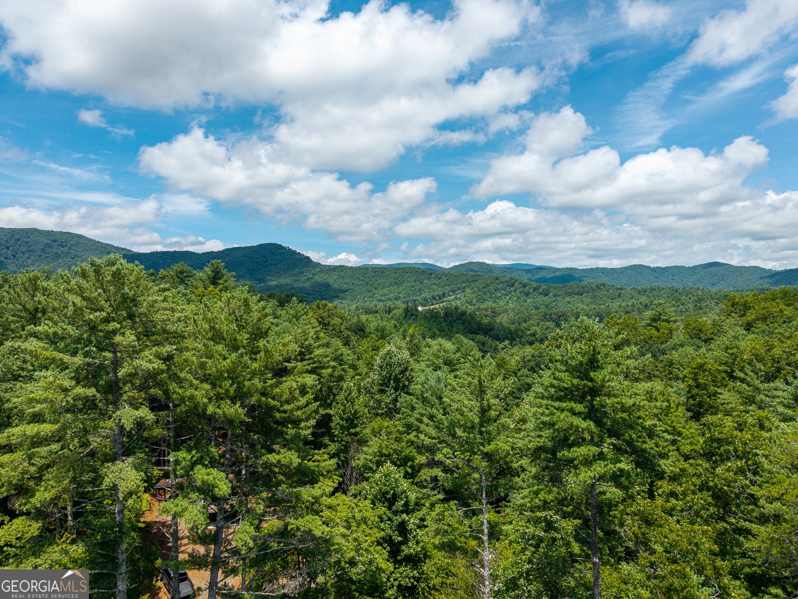 000 Higdon Creek Rd Blue Ridge - Photo 31