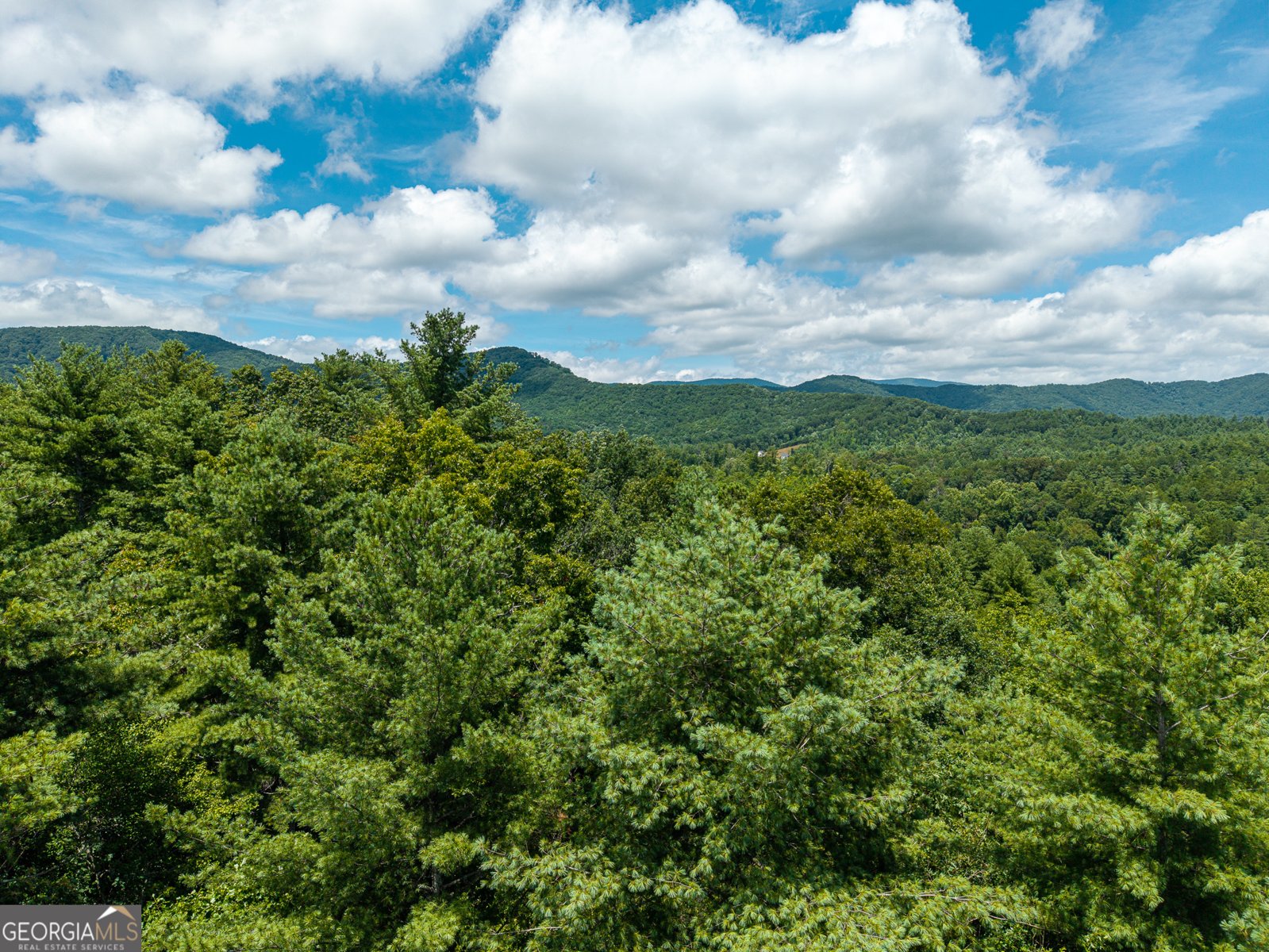 000 Higdon Creek Rd Blue Ridge - Photo 32