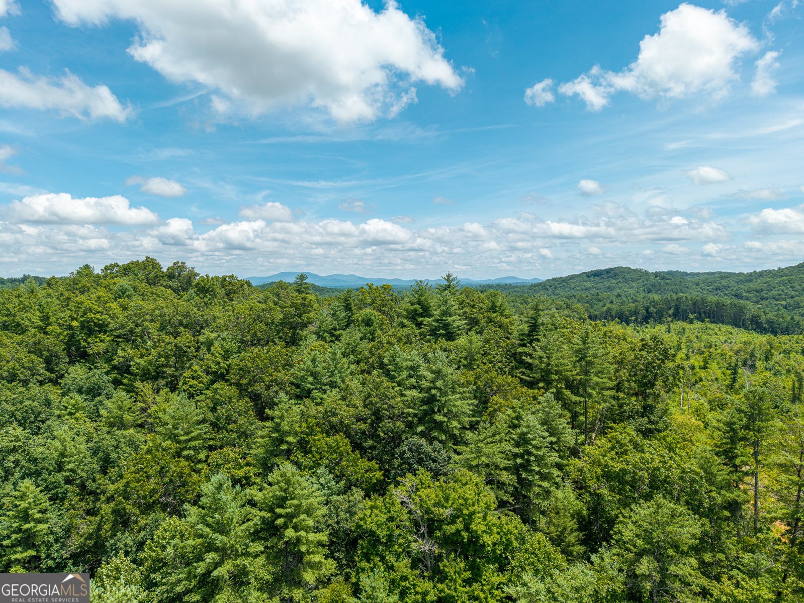 000 Higdon Creek Rd Blue Ridge - Photo 33