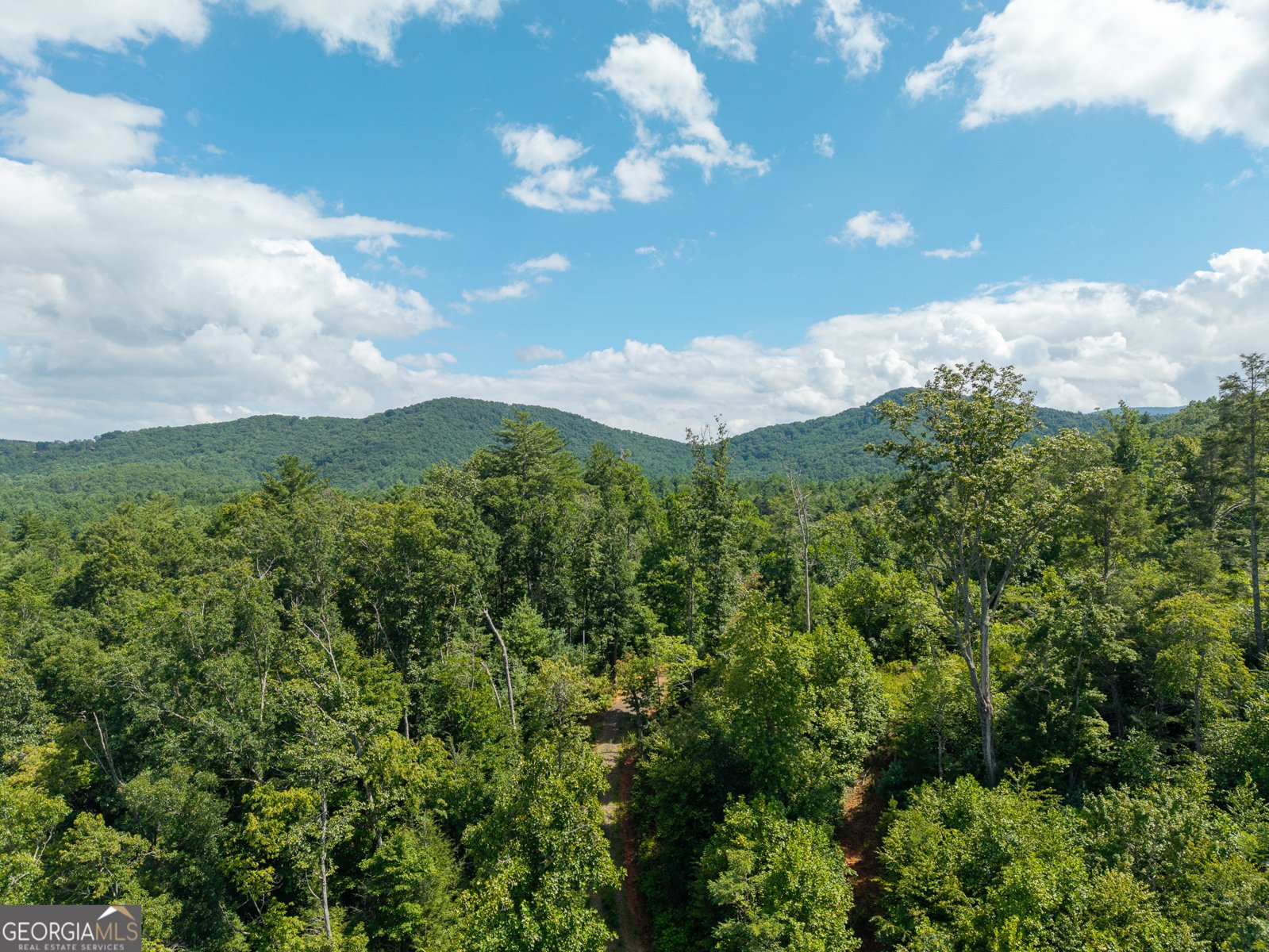 000 Higdon Creek Rd Blue Ridge - Photo 35