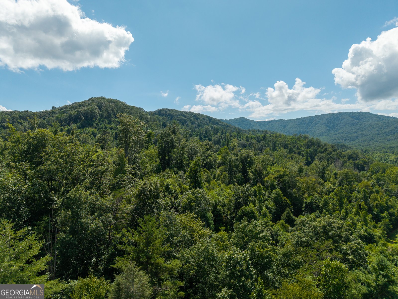 000 Higdon Creek Rd Blue Ridge - Photo 36