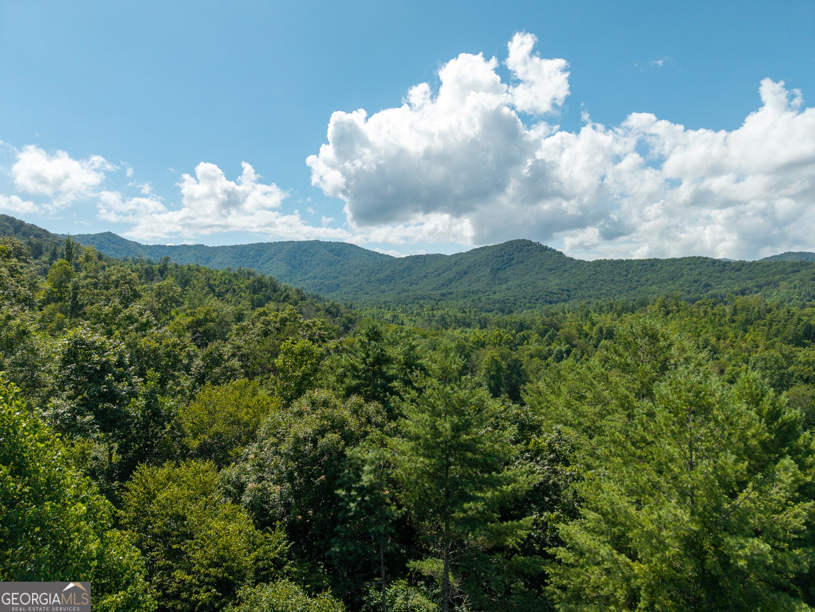 000 Higdon Creek Rd Blue Ridge - Photo 37