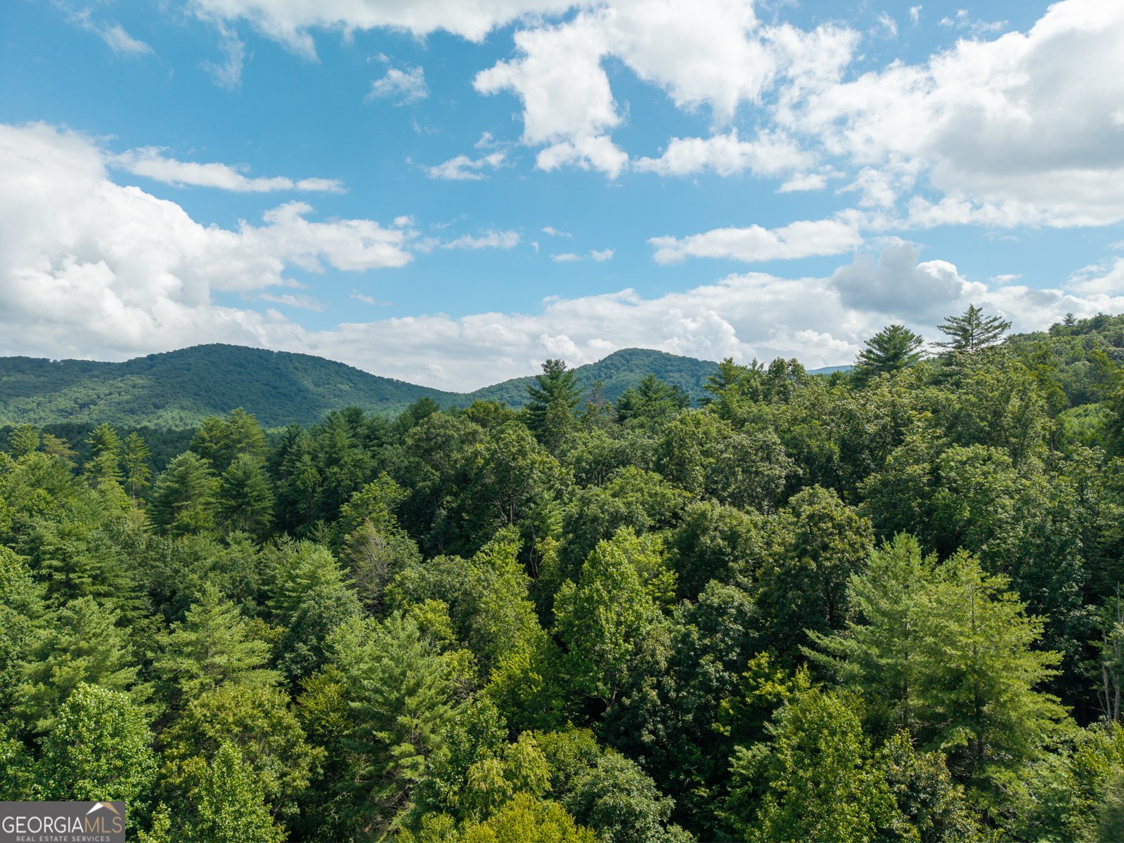 000 Higdon Creek Rd Blue Ridge - Photo 38
