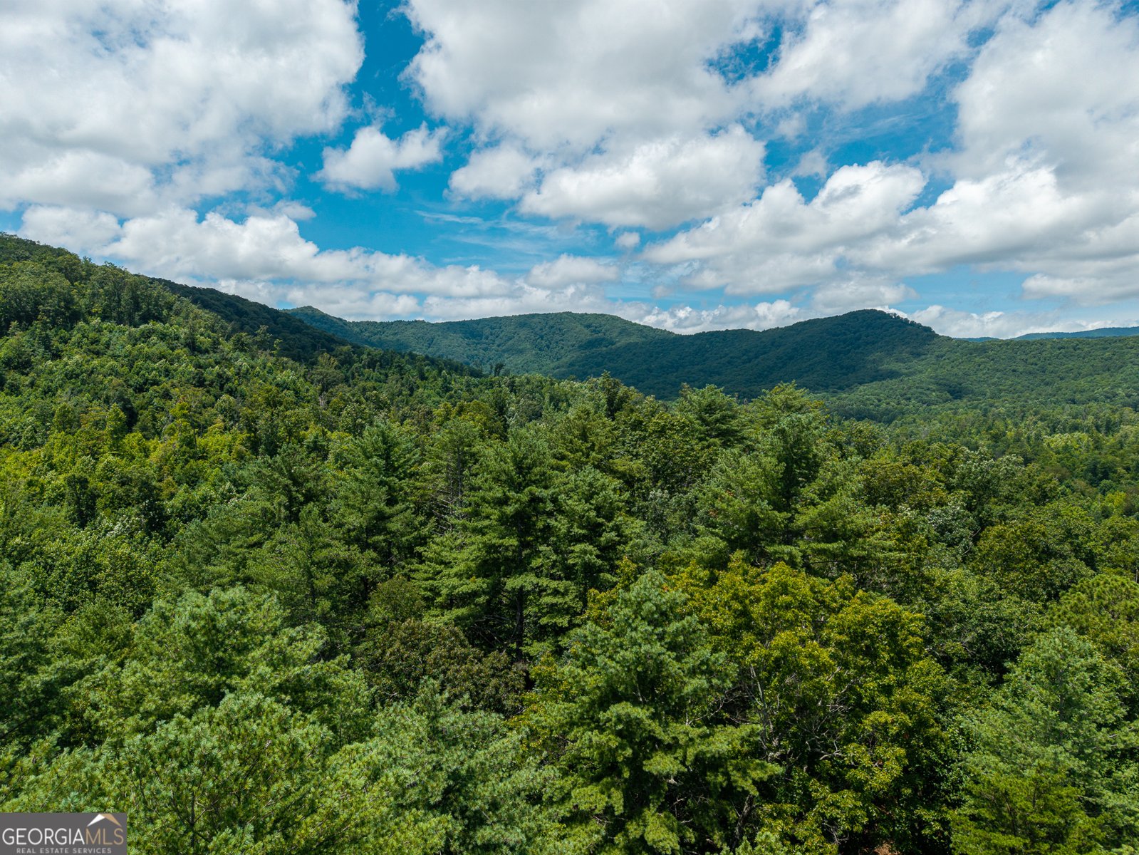 000 Higdon Creek Rd Blue Ridge - Photo 39