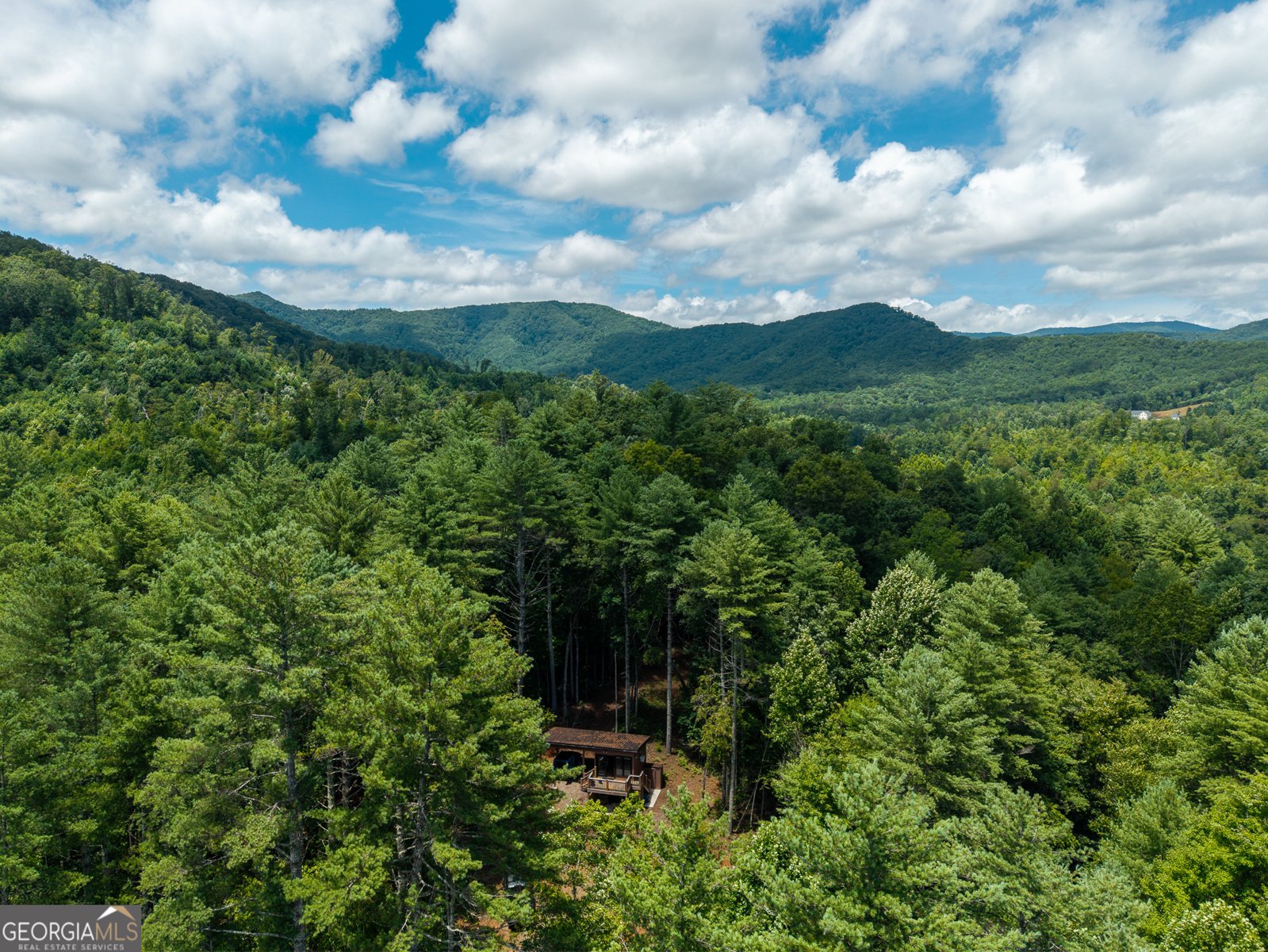 000 Higdon Creek Rd Blue Ridge - Photo 40