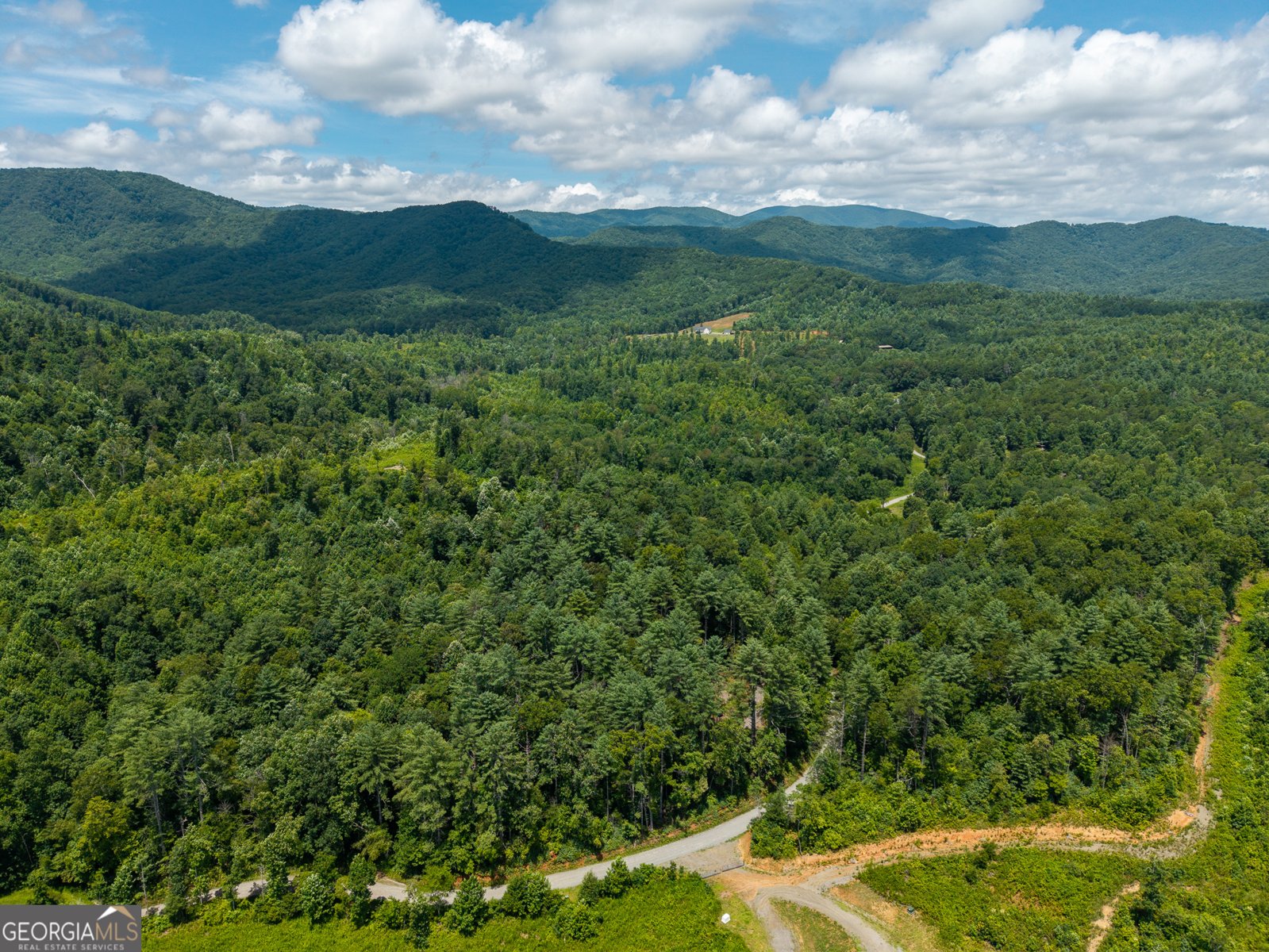 000 Higdon Creek Rd Blue Ridge - Photo 41