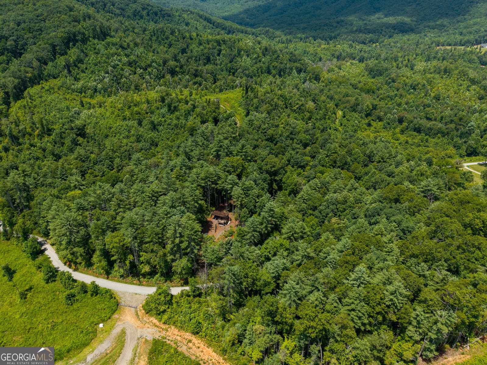 000 Higdon Creek Rd Blue Ridge - Photo 42