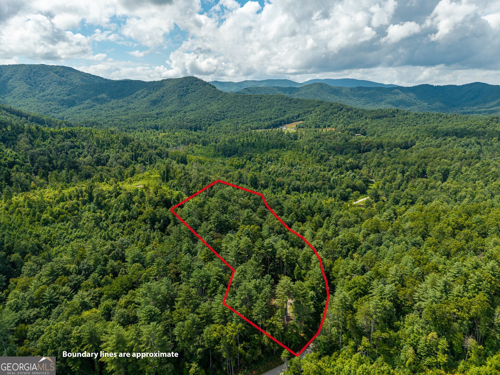 000 Higdon Creek Rd Blue Ridge - Photo 43
