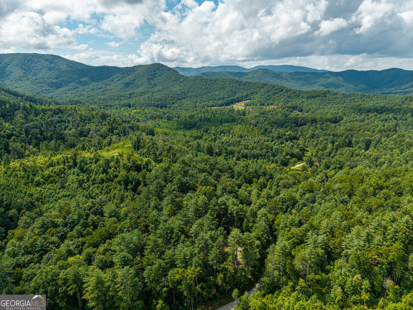 000 Higdon Creek Rd Blue Ridge - Photo 44