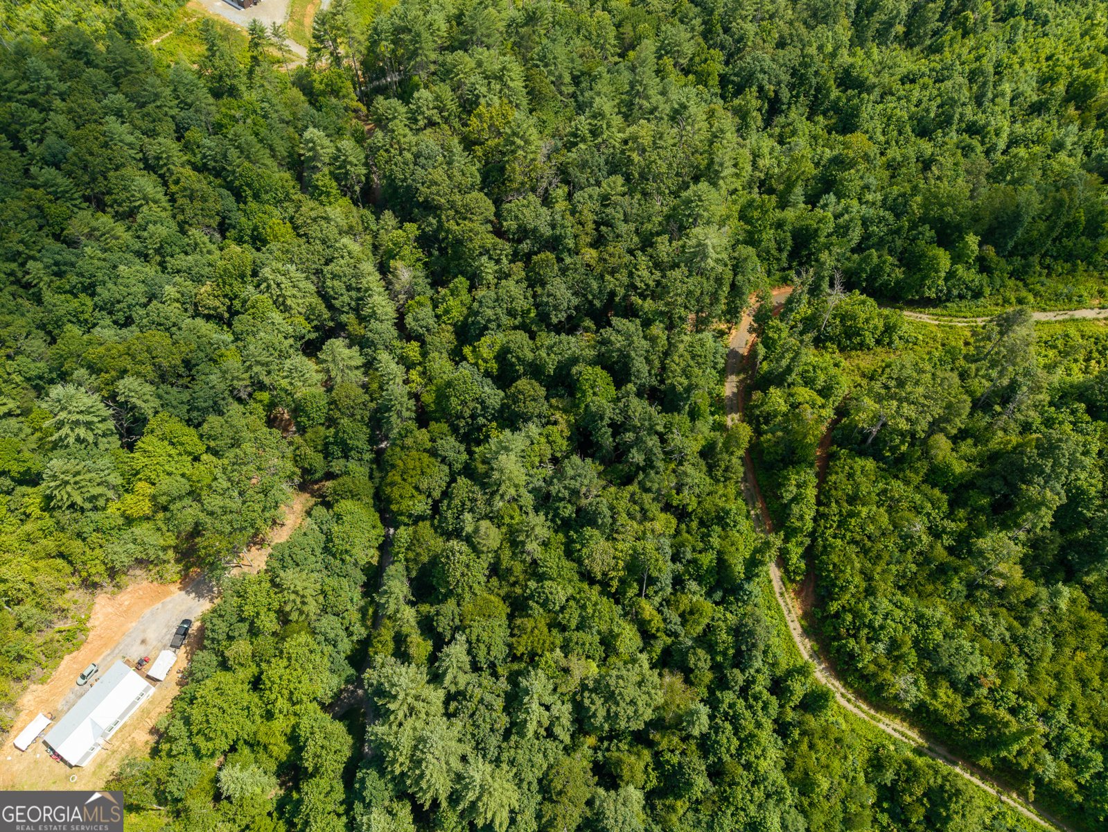 000 Higdon Creek Rd Blue Ridge - Photo 46