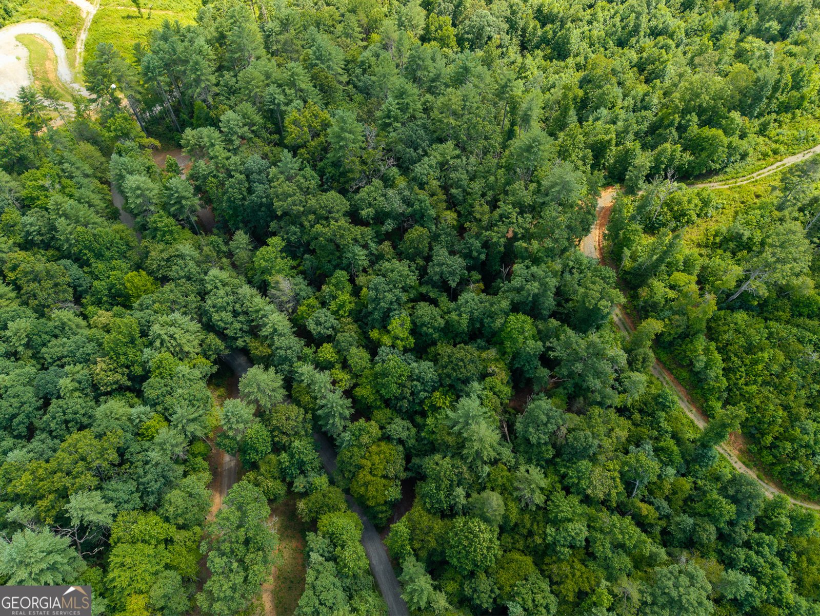000 Higdon Creek Rd Blue Ridge - Photo 47