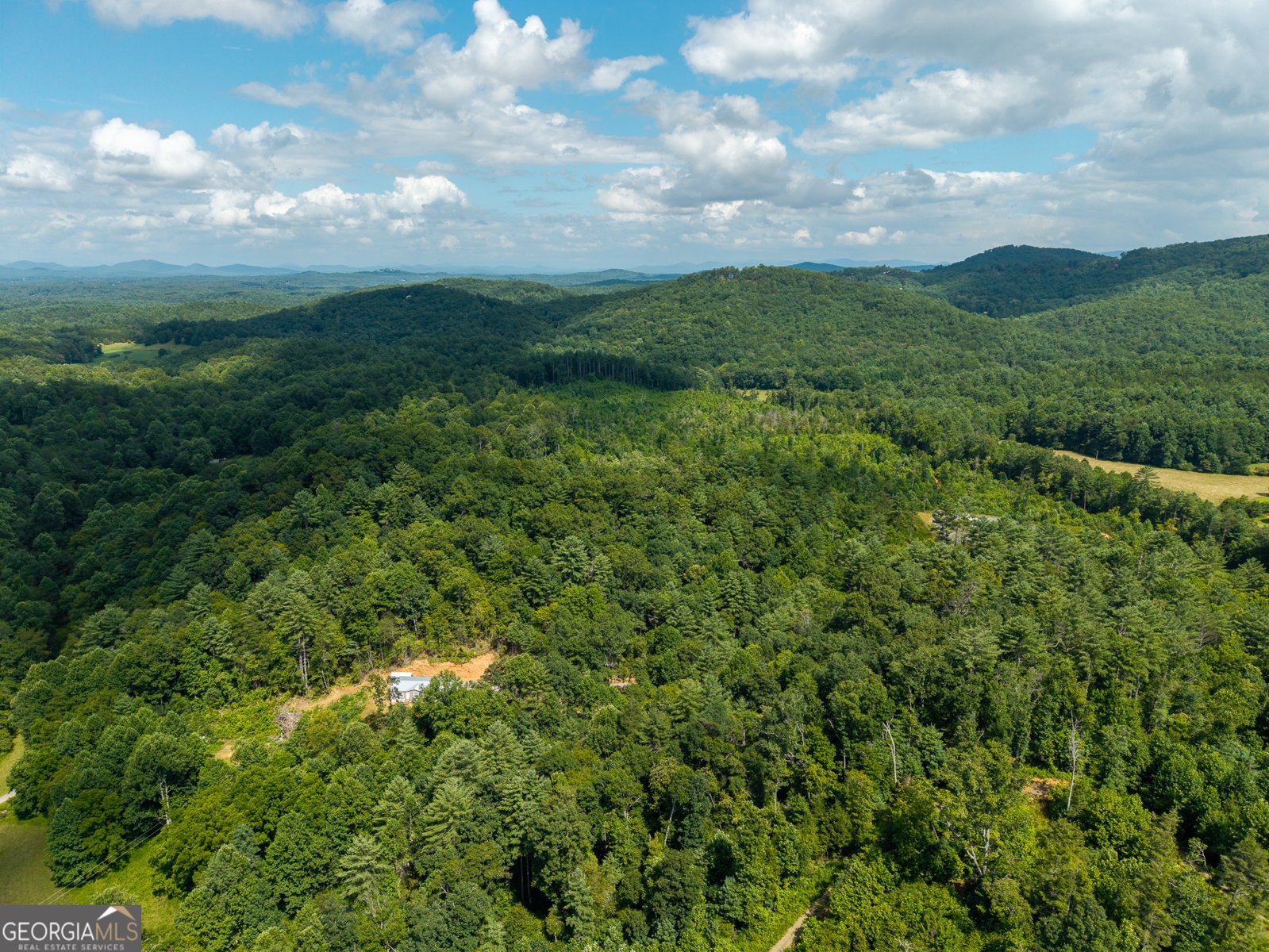 000 Higdon Creek Rd Blue Ridge - Photo 48