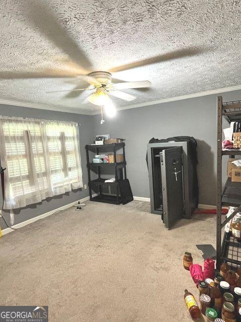 3266 Calhoun Falls Highway Elberton - Photo 12