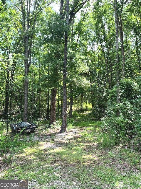 3266 Calhoun Falls Highway Elberton - Photo 30